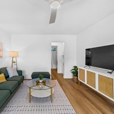 Large Smart TV